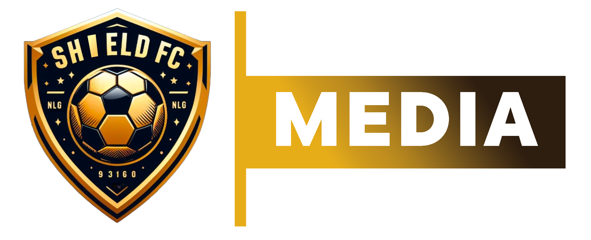 Projets Entrepreneuriaux (Shield Media / Shield FC) Preview